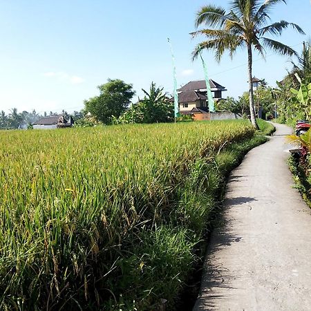 Jagi Villa Ubud Extérieur photo
