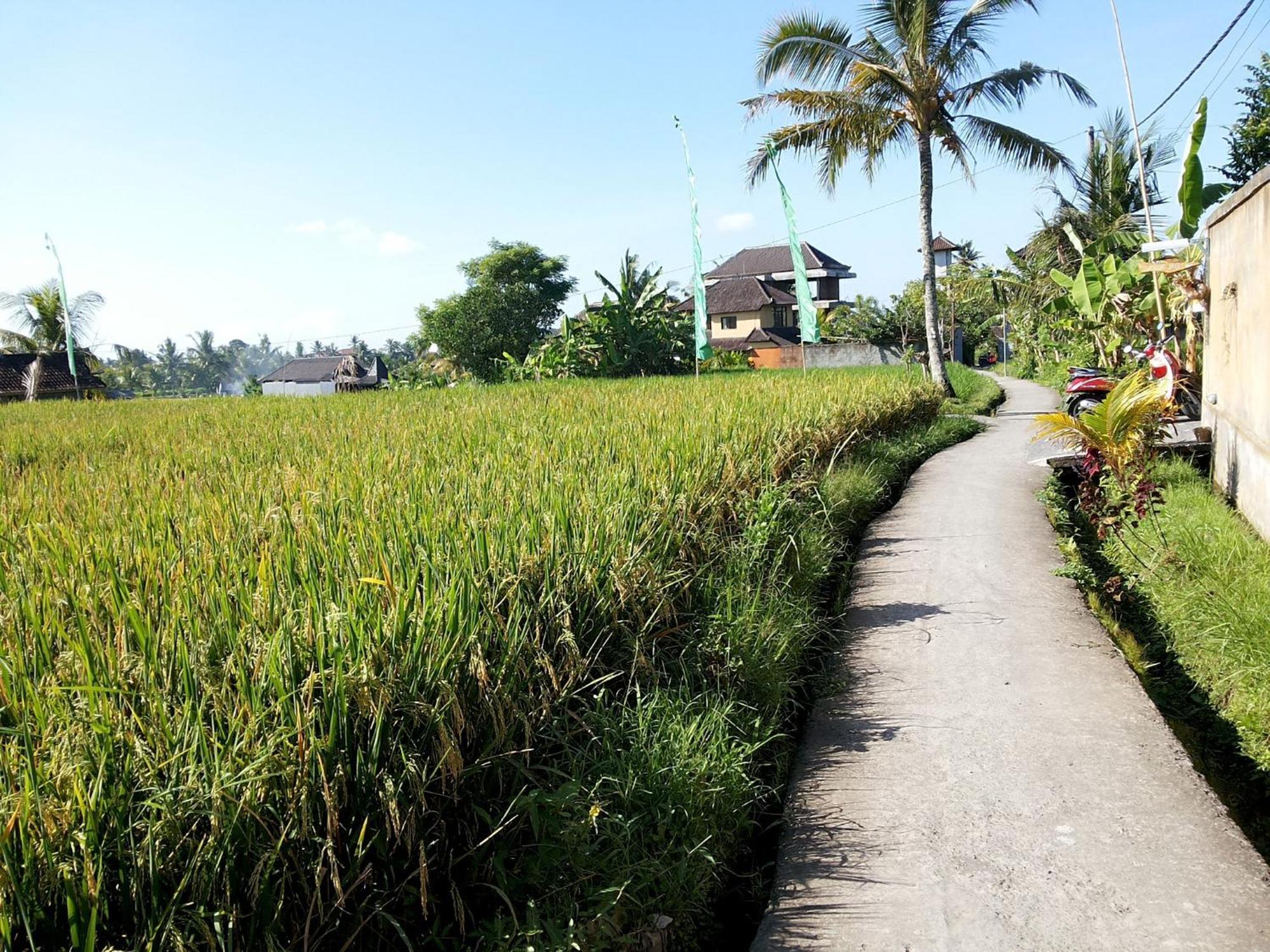 Jagi Villa Ubud Extérieur photo